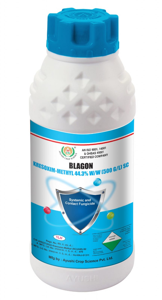BLAGON